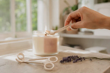 Hand trimming wooden wick of burning candle