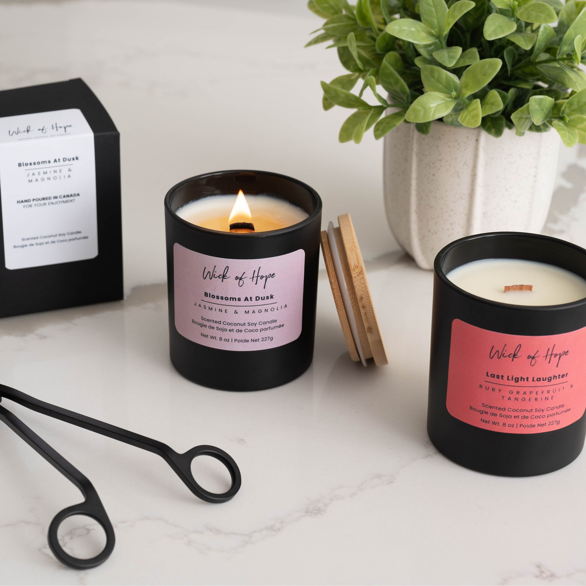 How a Clean-Burning Candle Brand Is Making a Difference