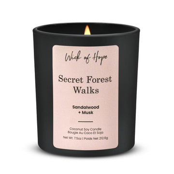 Pet-Conscious Candles Collection