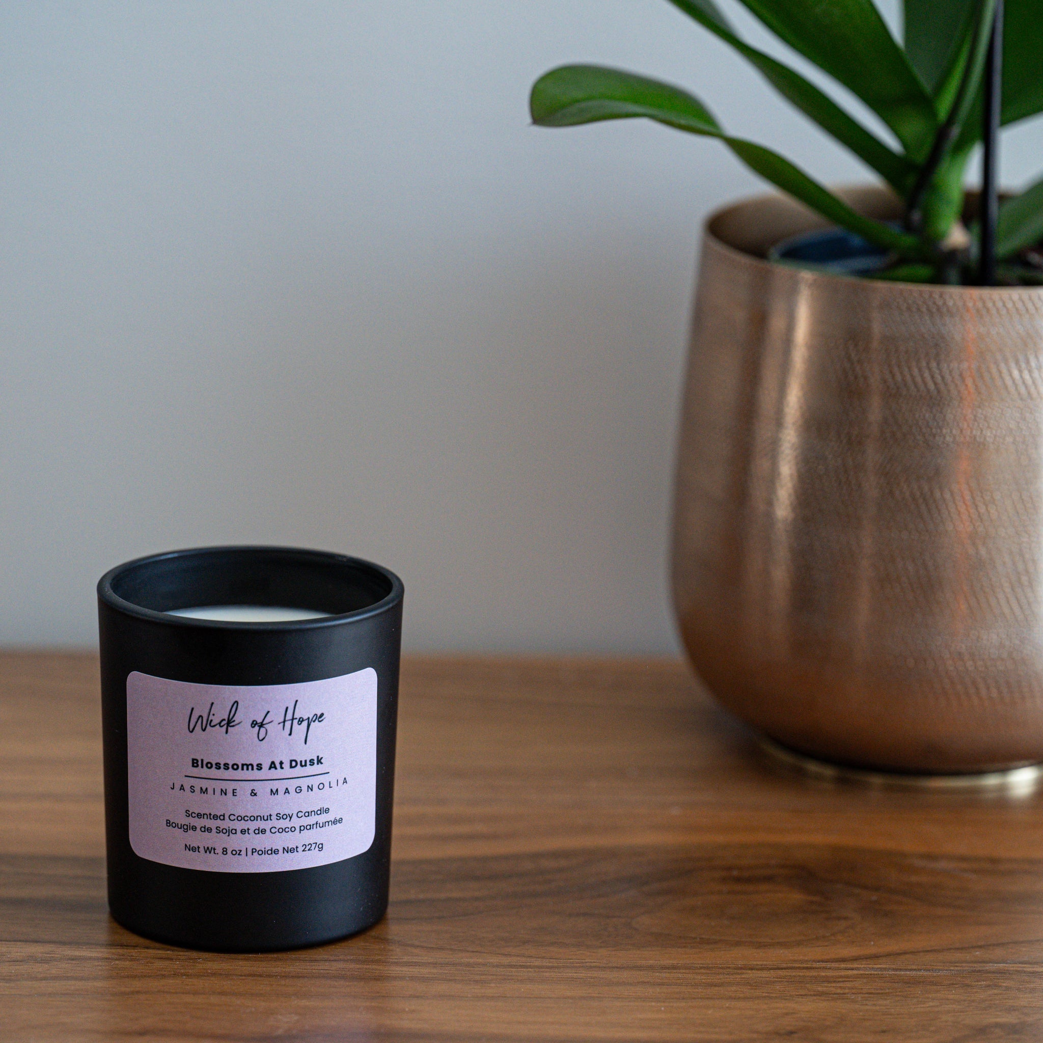 A black candle labeled Wish of Hope sits on a wooden surface next to a leafy green plant in a metallic pot against a plain light-colored wall.