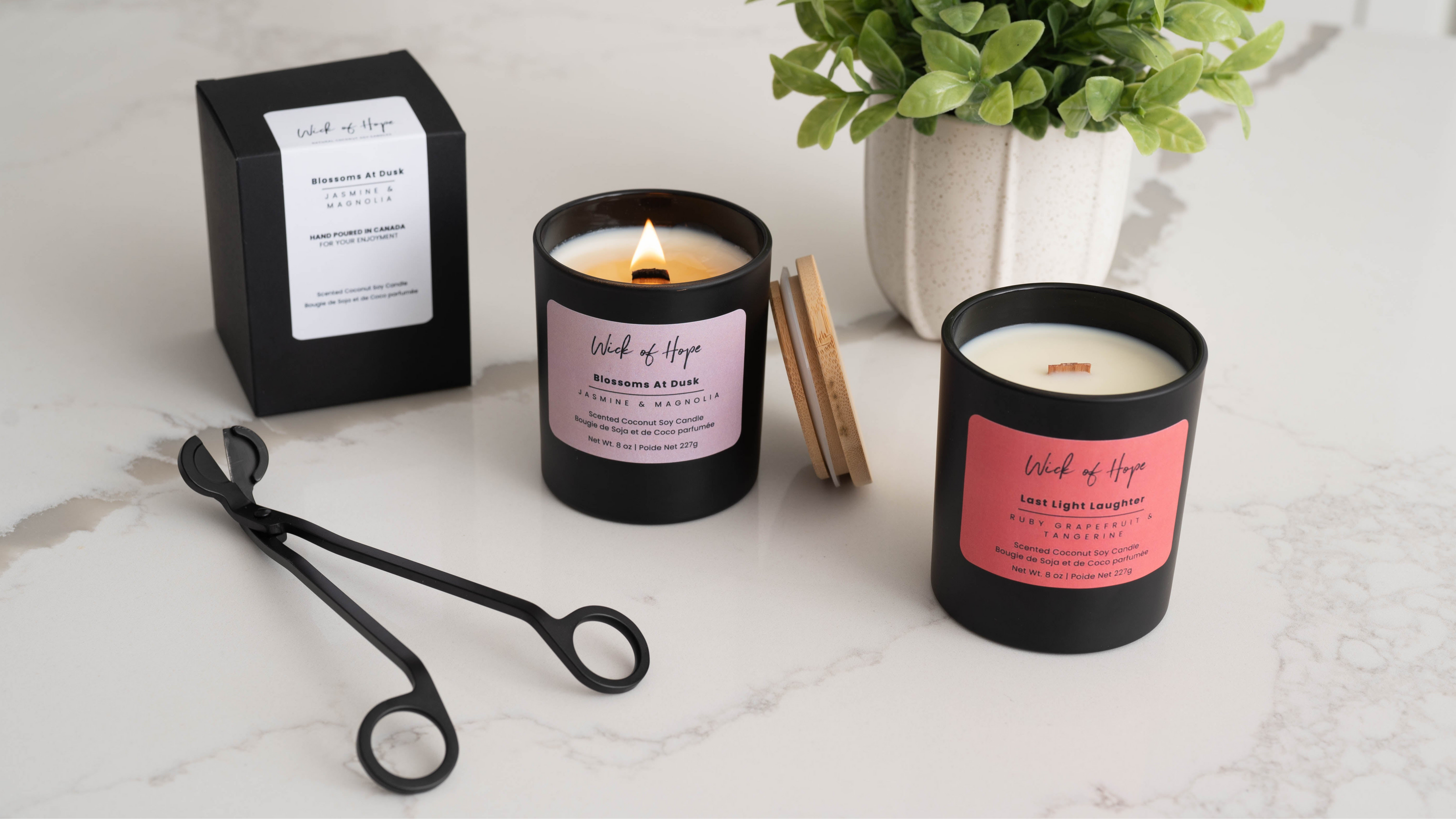 Coconut-soy wax scented candle – Lavender Calm