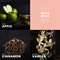 Apple Spice Candle | Fresh Apple + Cinnamon - Wick of Hope