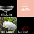 Bright Little Moments Candle | Champagne + Raspberry - Wick of Hope