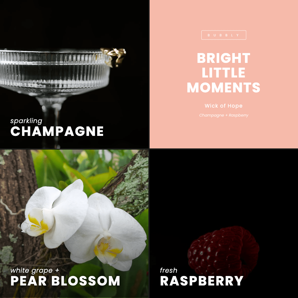 Bright Little Moments Candle | Champagne + Raspberry - Wick of Hope