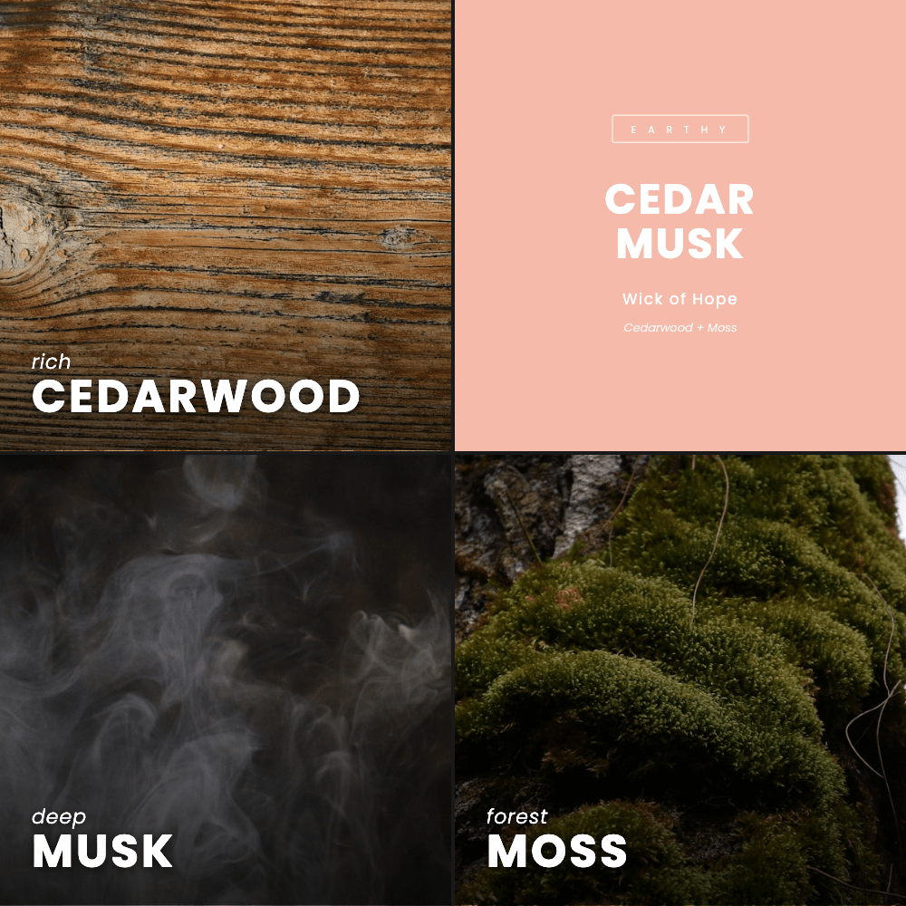 Cedar Musk Candle | Cedarwood + Moss - Wick of Hope