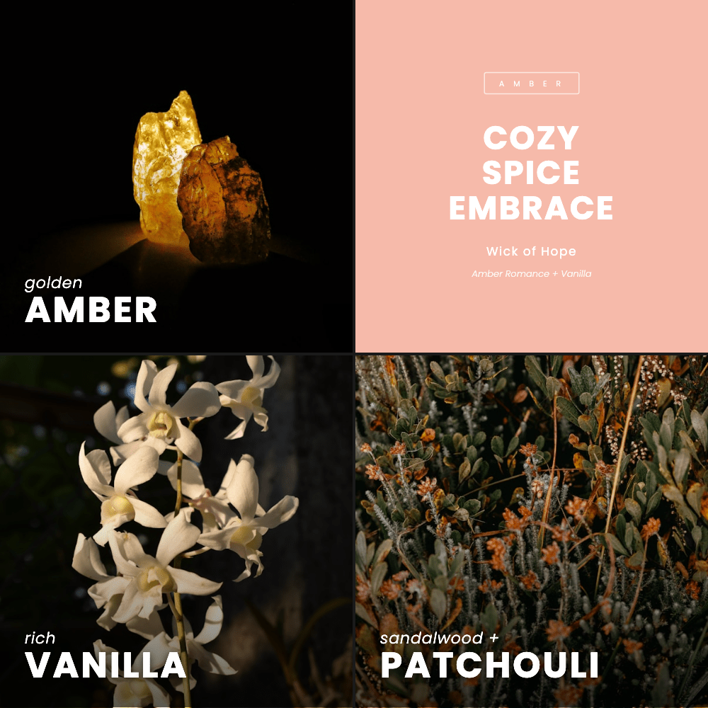 Cozy Spice Embrace Candle | Amber Romance + Vanilla - Wick of Hope
