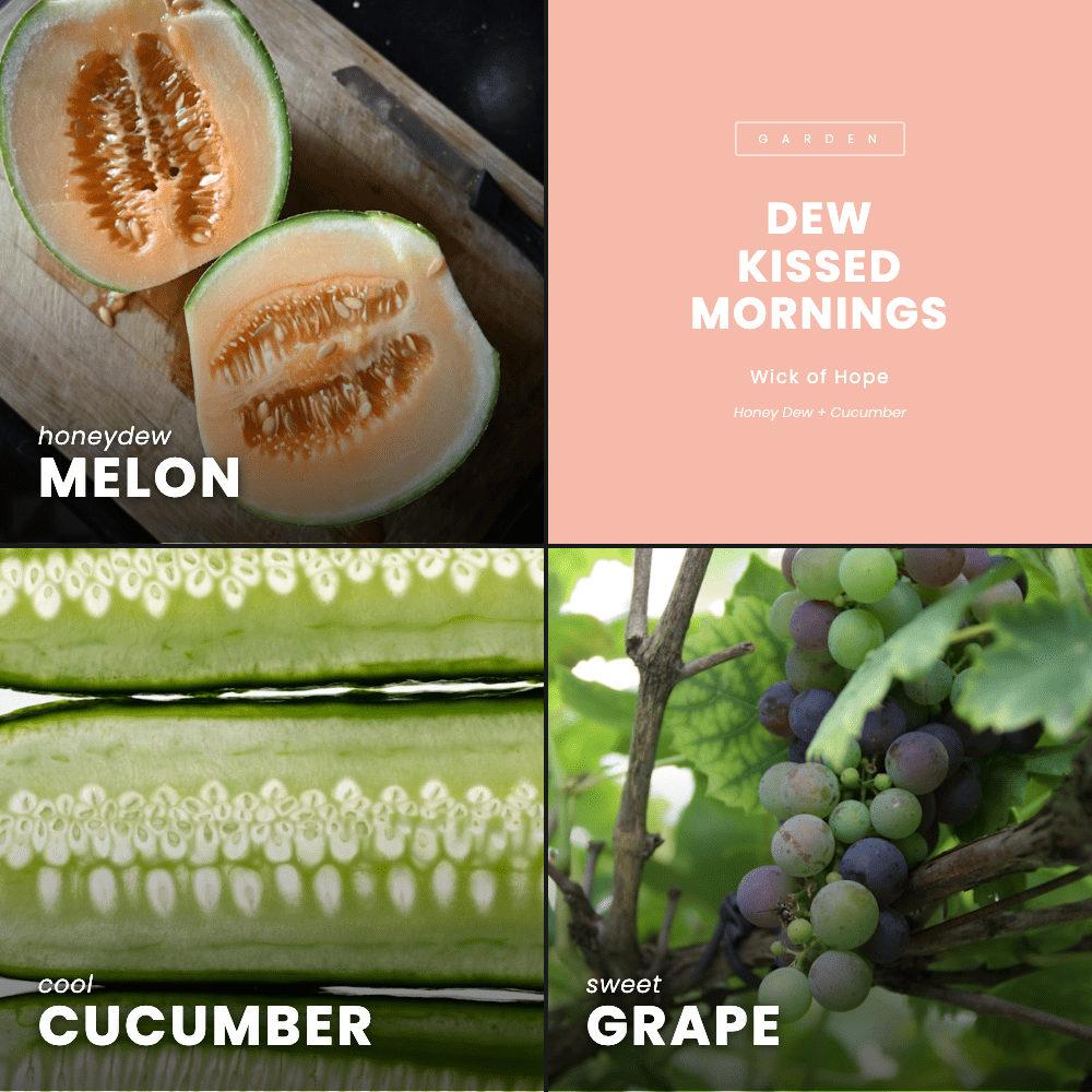 Dew Kissed Mornings | Honey Dew + Cucumber - Wick of Hope