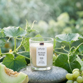 Dew Kissed Mornings Mini candle, 3.7oz honeydew and cucumber coconut soy candle in clear glass