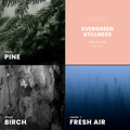 Evergreen Stillness Candle | Pine + Cedar - Wick of Hope