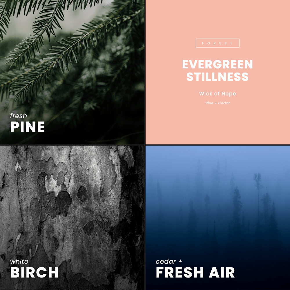Evergreen Stillness Candle | Pine + Cedar - Wick of Hope