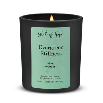 Evergreen Stillness Candle | Pine + Cedar - Wick of Hope