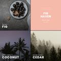 Fig Haven Candle | Fig + Cedar - Wick of Hope