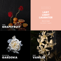 Last Light Laughter Candle | Ruby Grapefruit + Tangerine - Wick of Hope