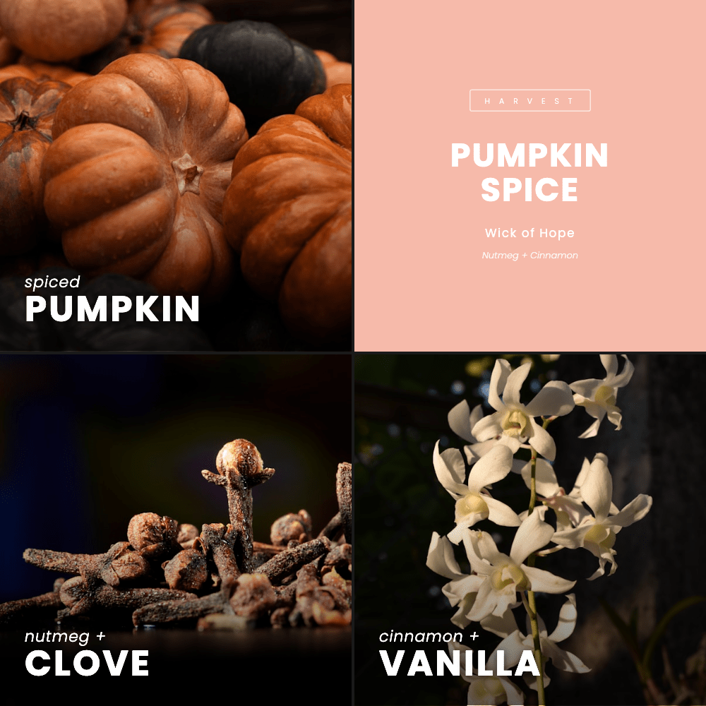 Pumpkin Spice Candle | Nutmeg + Cinnamon - Wick of Hope