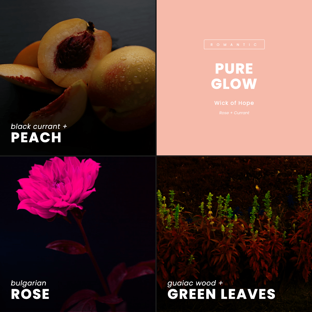 Pure Glow Candle | Rose + Currant - Wick of Hope