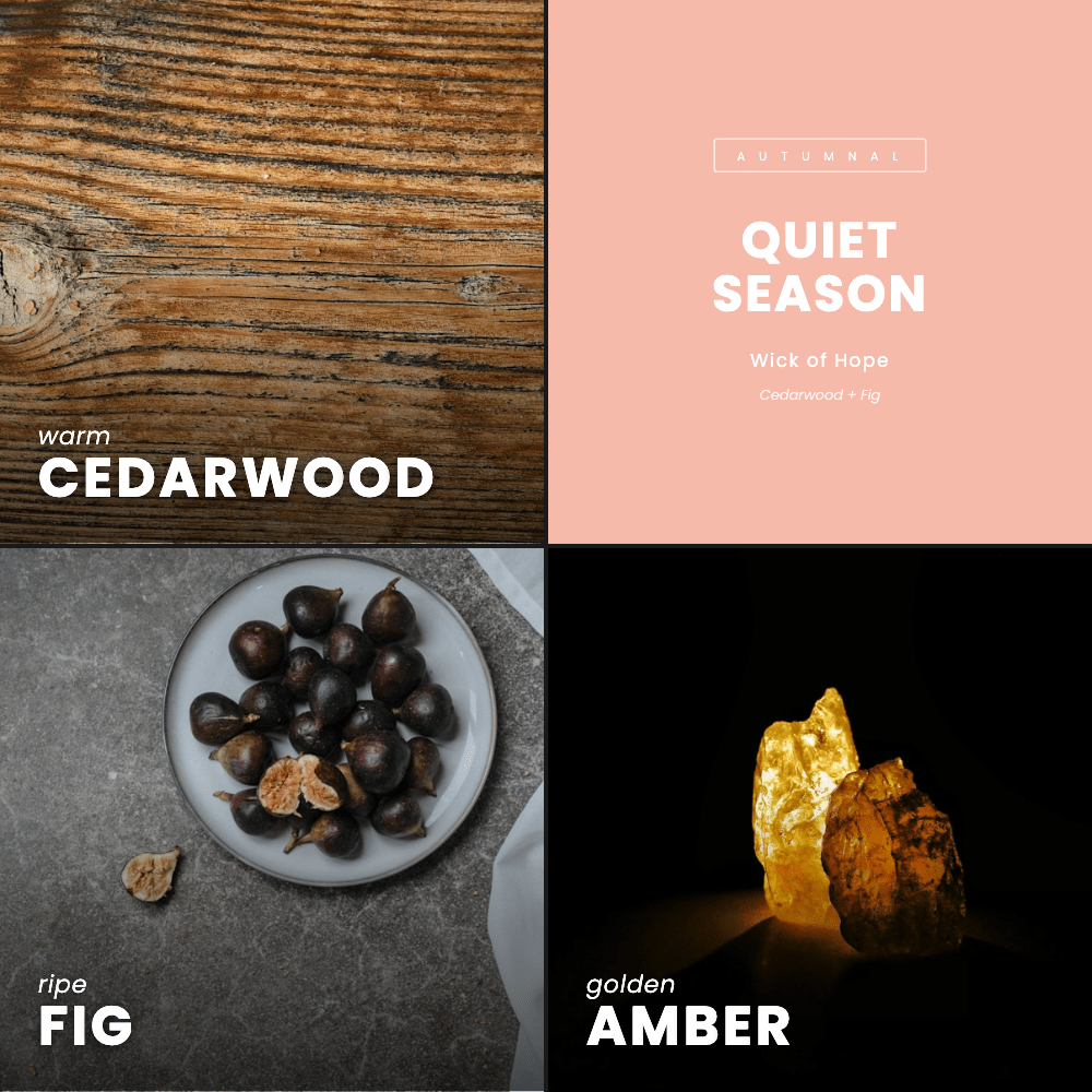 Quiet Season Candle | Cedarwood + Fig - Wick of Hope