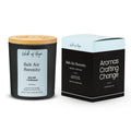 Salt Air Serenity Candle | Sea Salt + Driftwood - Wick of Hope