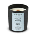 Salt Air Serenity Candle | Sea Salt + Driftwood - Wick of Hope