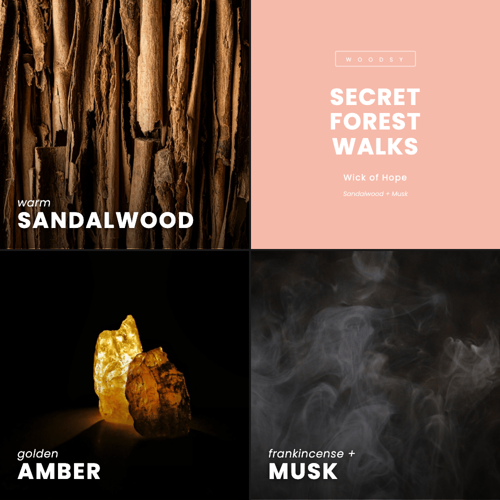 Secret Forest Walks Candle | Sandalwood + Musk - Wick of Hope