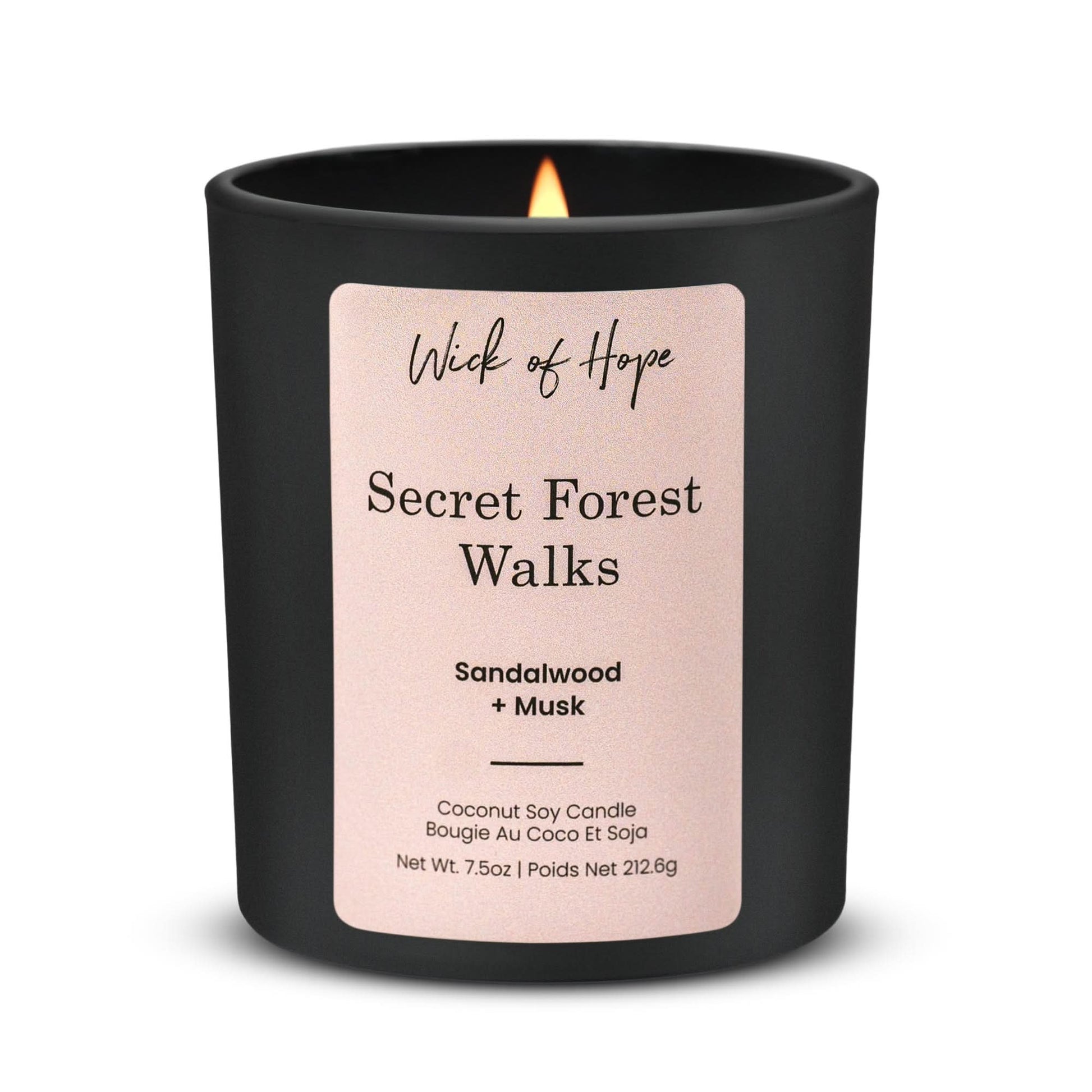 Secret Forest Walks Candle | Sandalwood + Musk - Wick of Hope