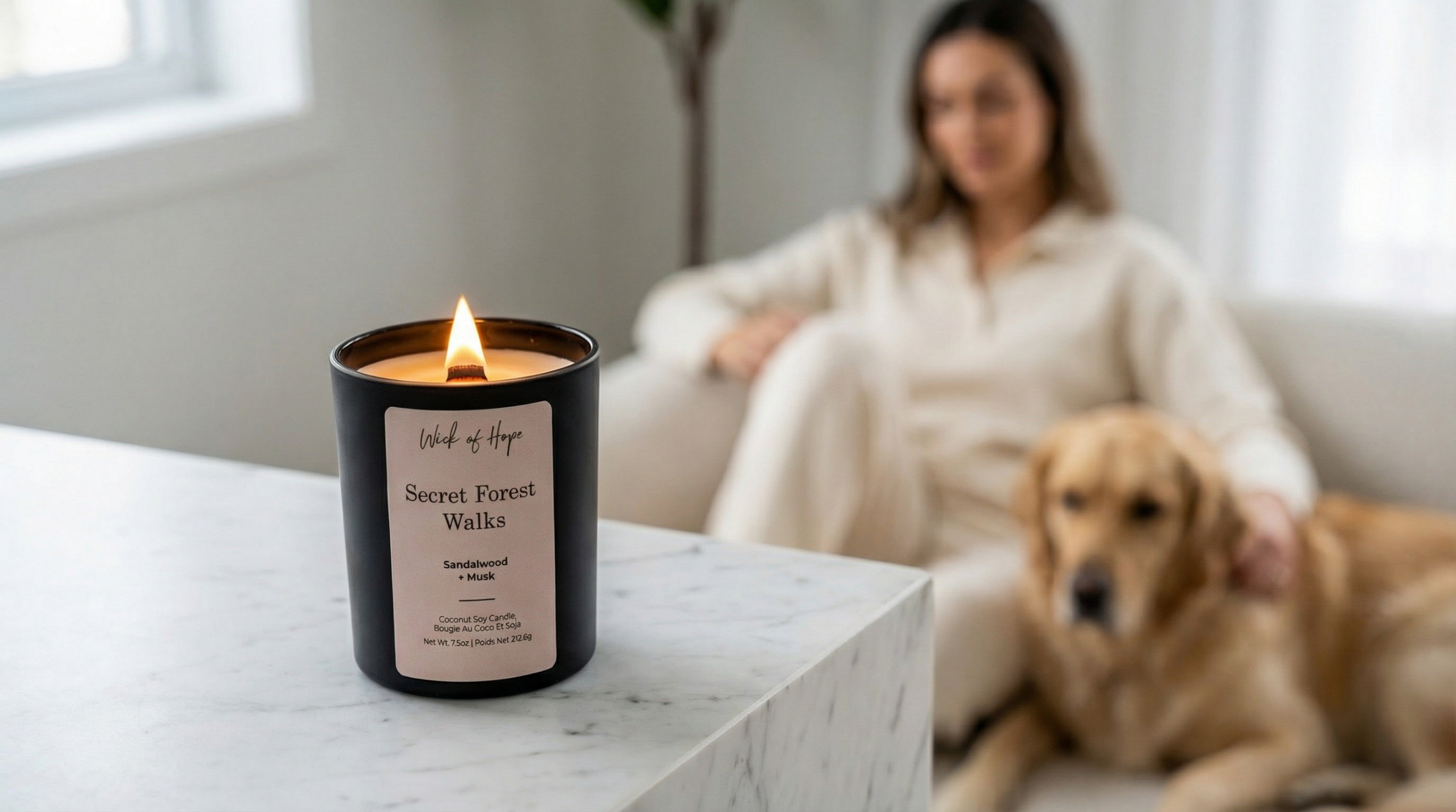 collection-banner-image