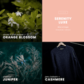 Serenity Luxe Candle | Smoky Woods + Cashmere - Wick of Hope
