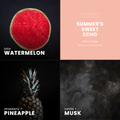 Summer’s Sweet Echo Candle | Watermelon + Sweet Pink Sugar - Wick of Hope